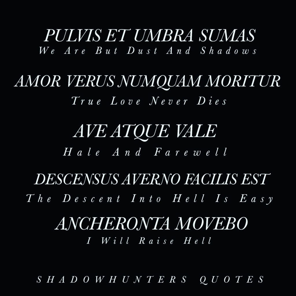 Top Proverbes 20 Meilleures Citations En Latin En Images