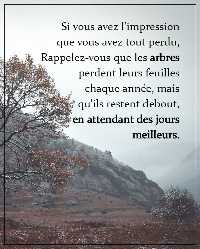 Top Proverbes : +20 Citations Jours Meilleurs En Images