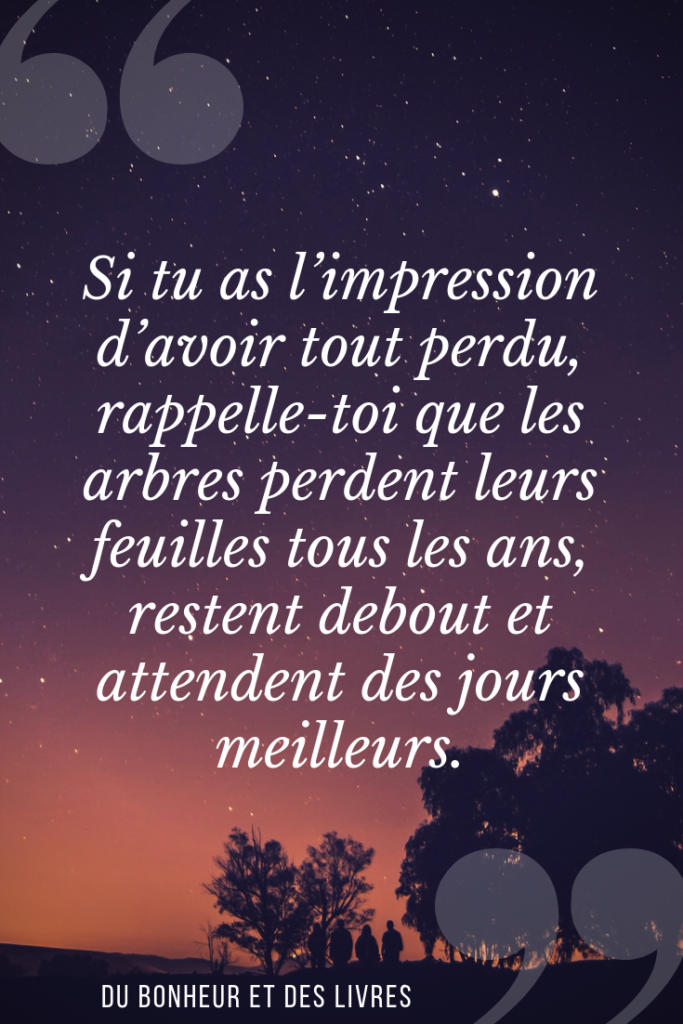 Top Proverbes : +20 Citations Jours Meilleurs En Images