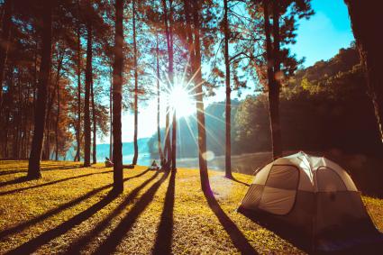Camping et tente sous la pinède