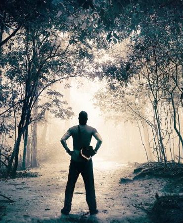 Attirer le mâle Taureau |  LoveToKnow