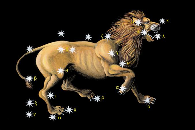 lion leo constellation