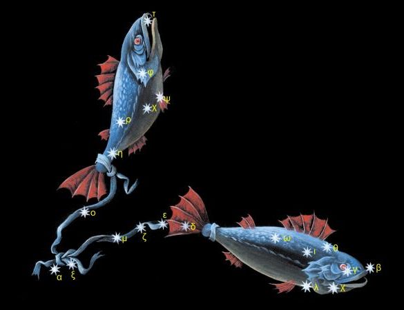 Constellation Pisces