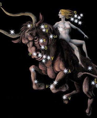 Zodiac Constellation Taurus Bull