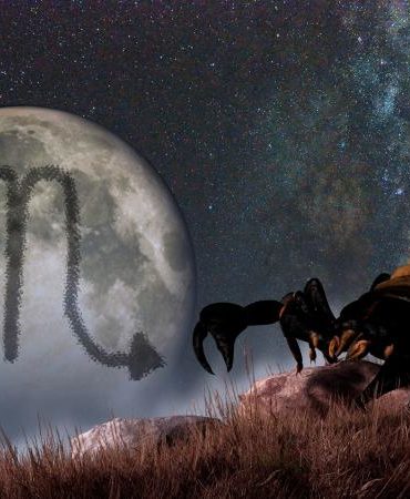 Moon and Scorpio symbol of scorpion