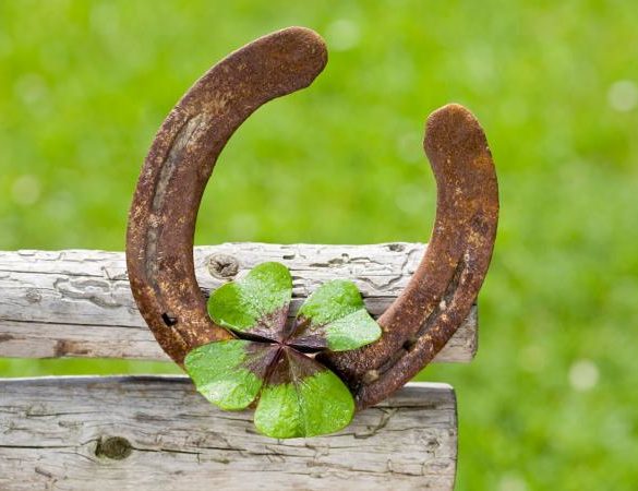 Four leaf clover and horse shoe
