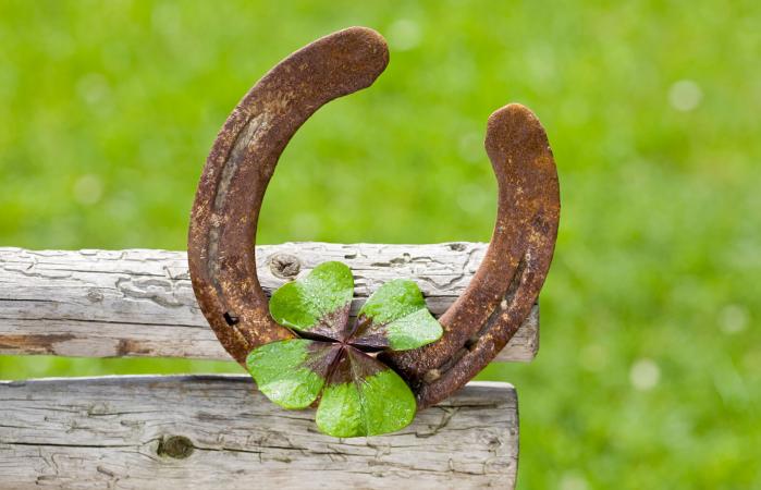 Four leaf clover and horse shoe
