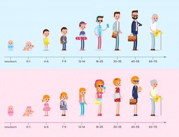 Stages of growing up
