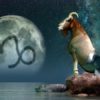 Sea Goat Zodiac Sign Capricorn