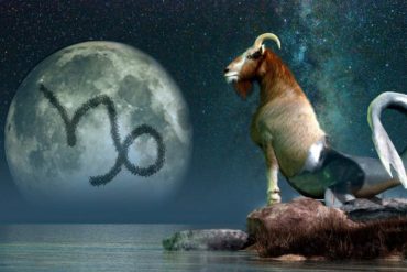 Sea Goat Zodiac Sign Capricorn