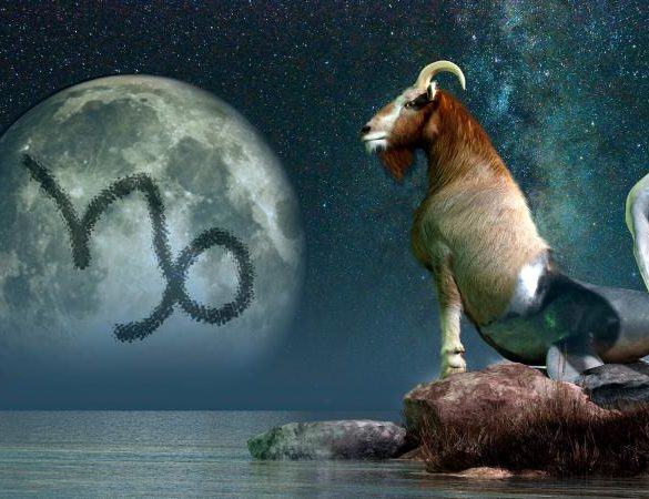 Sea Goat Zodiac Sign Capricorn