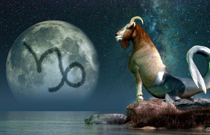 Chèvre de mer signe du zodiaque Capricorne