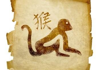 Monkey and Chinese character