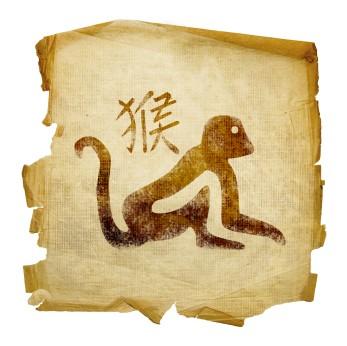 Monkey and Chinese character