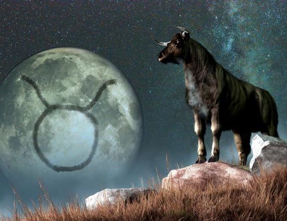Taurus astrological sign