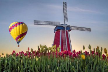 Hot air balloon and windmill