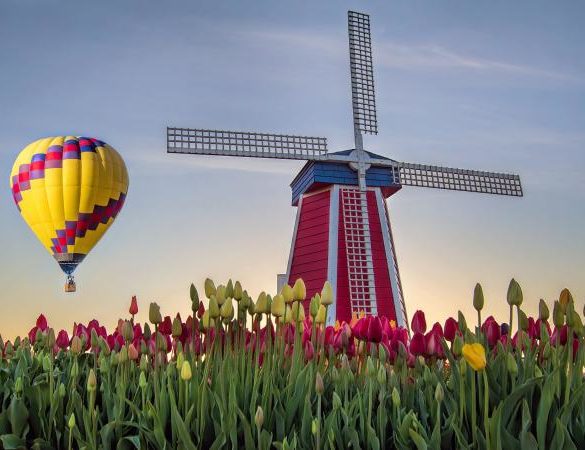 Hot air balloon and windmill