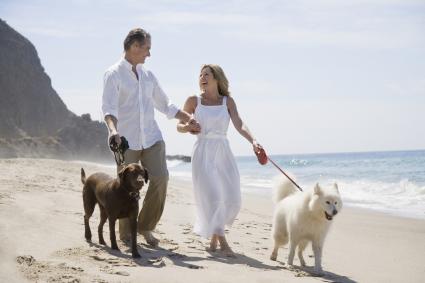 Couple, promener, chiens, plage