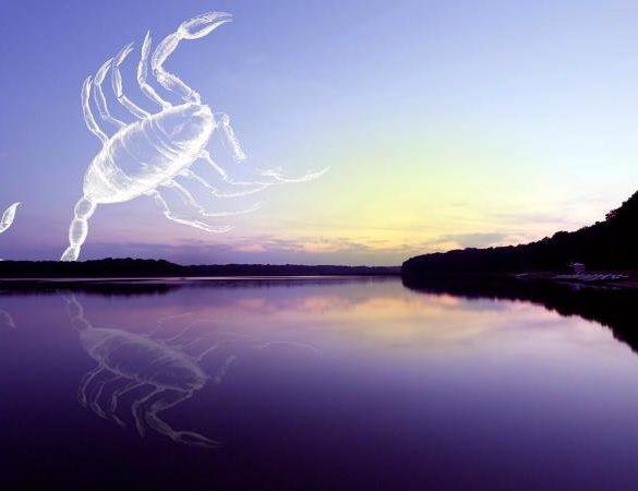 The constellation of the Scorpion