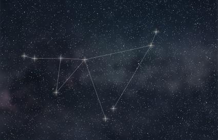 Lignes de constellation du Capricorne