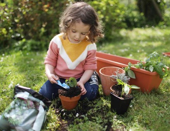 little girl potting plants