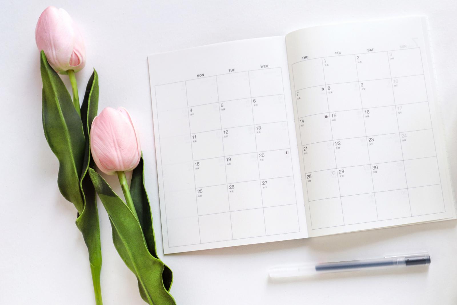 tulipe et calendrier