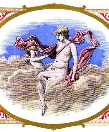 Caractéristiques du corps de la Balance |  LoveToKnow