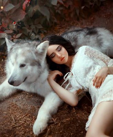 Girl with dark hair is lying on gray-white forest wolf