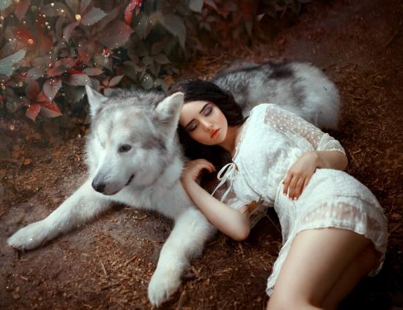 Girl with dark hair is lying on gray-white forest wolf