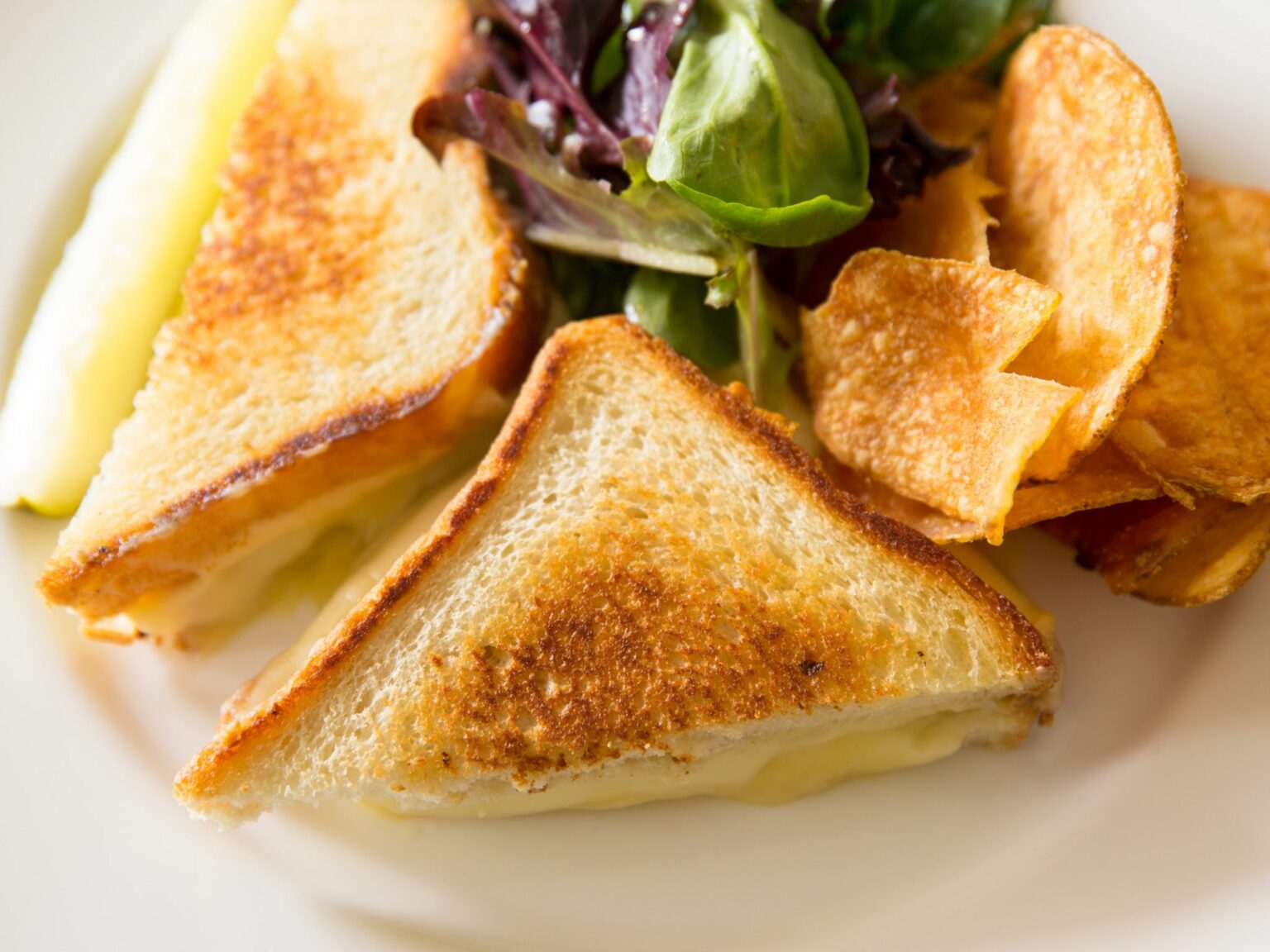 Monterey Jack contre Cheddar