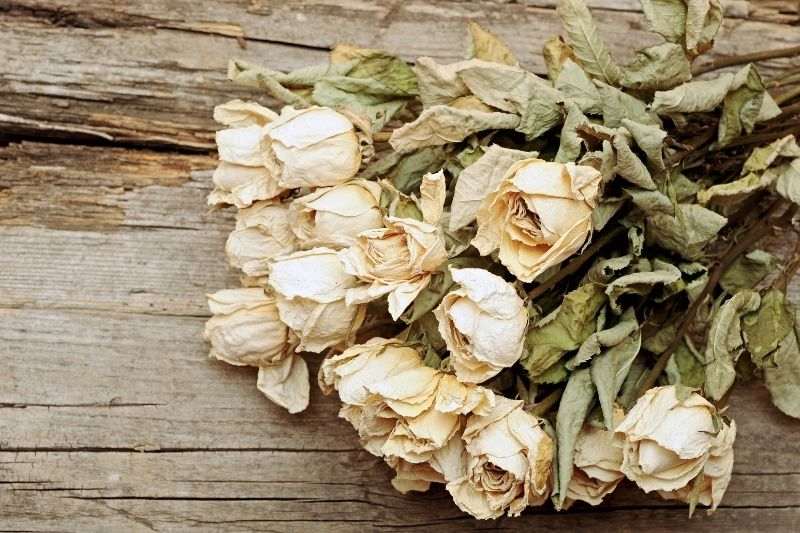 bouquet de roses séchées, tutoriel et conseils pour sécher des roses