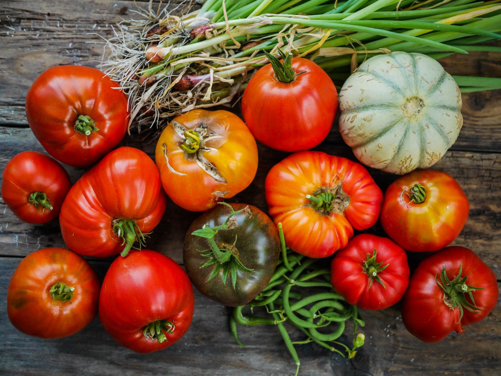 Comment faire un coulis de tomates ?